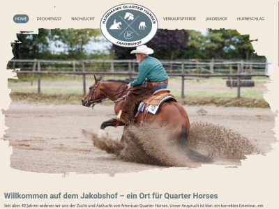 AH Quarterhorses